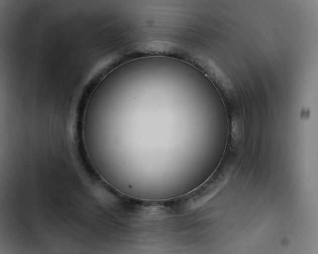 X0000103260396200809051448