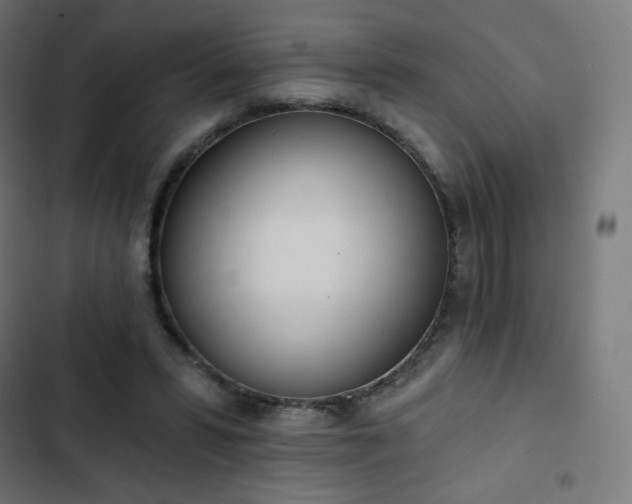 X0000103260399200809051448