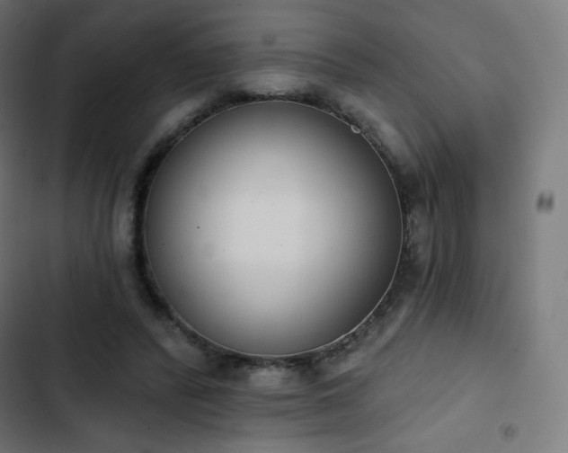 X0000103260400200809051448