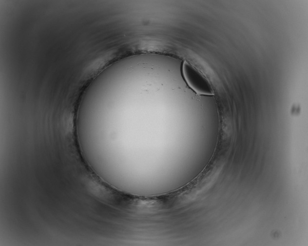 X0000103260401200809051448