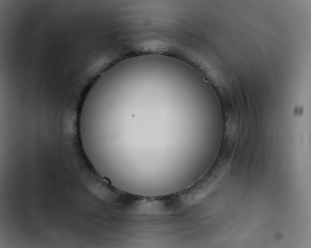 X0000103260403200809051448