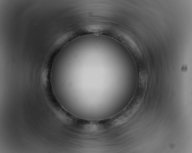 X0000103260404200809051448