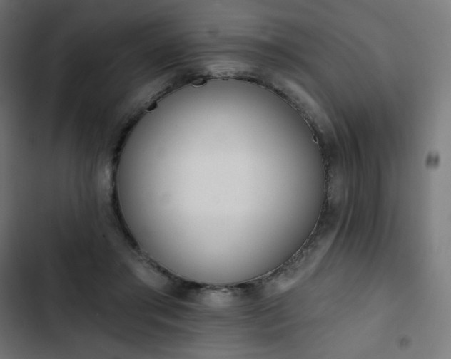 X0000103260405200809051448