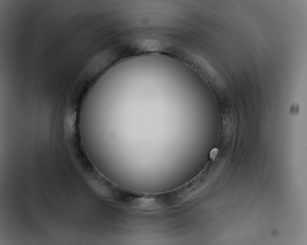 X0000103260406200809051448