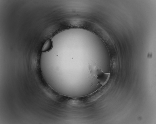 X0000103260408200809051448