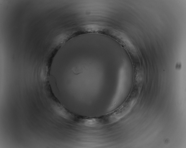 X0000103260411200809051448