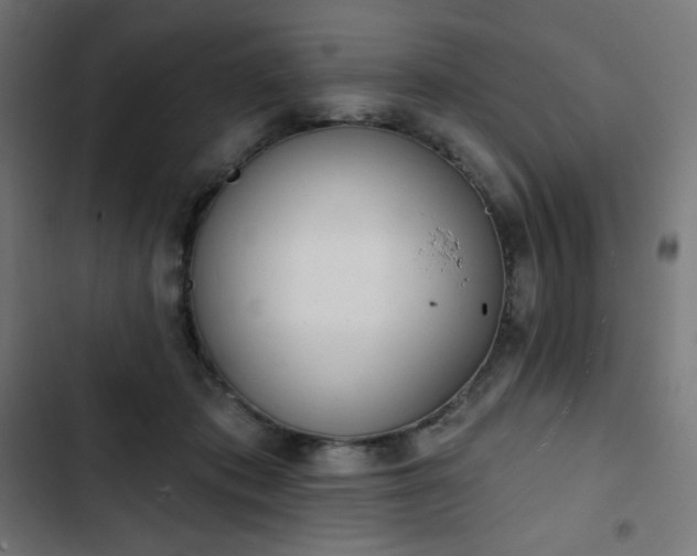 X0000103260413200809051448