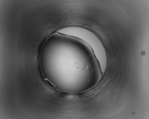 X0000103260415200809051448