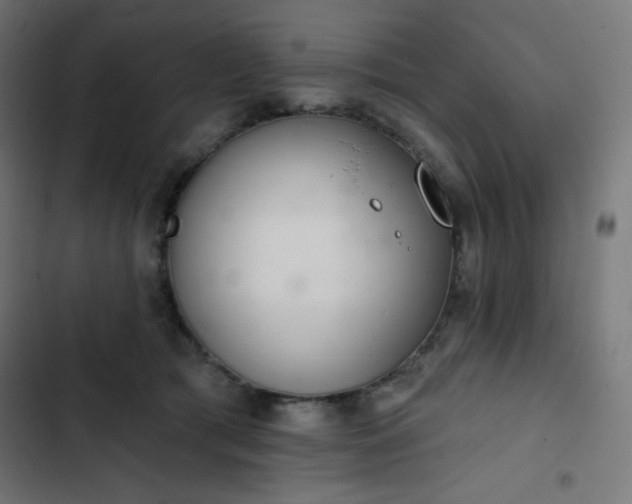 X0000103260417200809051448