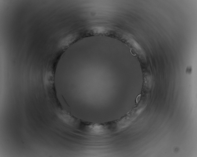 X0000103260419200809051448