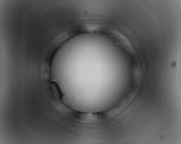 X0000103260421200809051448