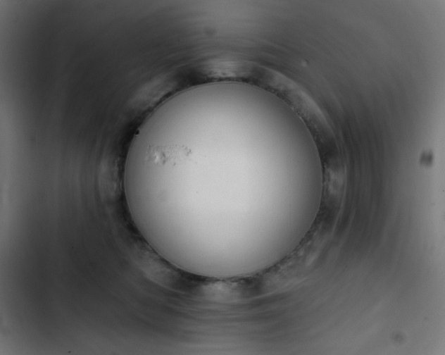 X0000103260422200809051448