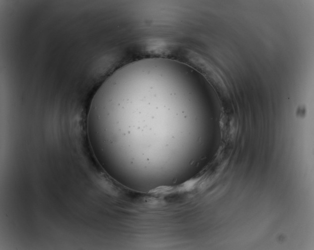 X0000103260424200809051448