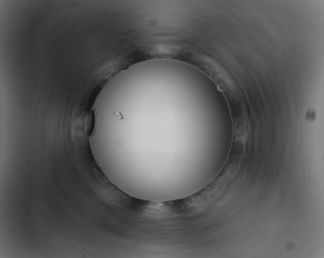 X0000103260425200809051448