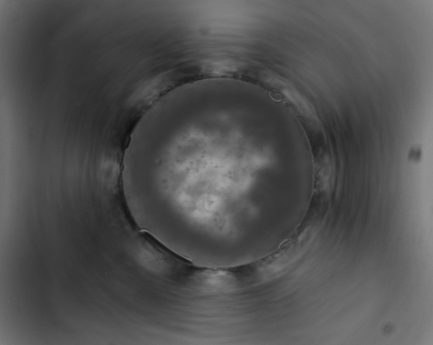 X0000103260427200809051448