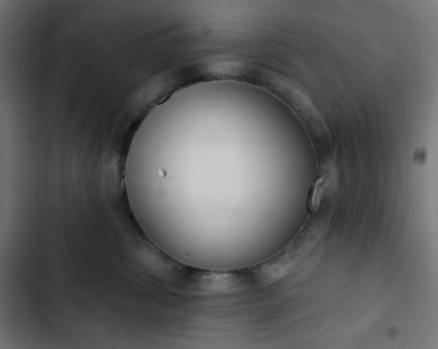 X0000103260428200809051448