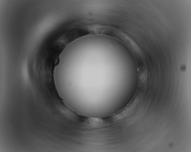 X0000103260429200809051448