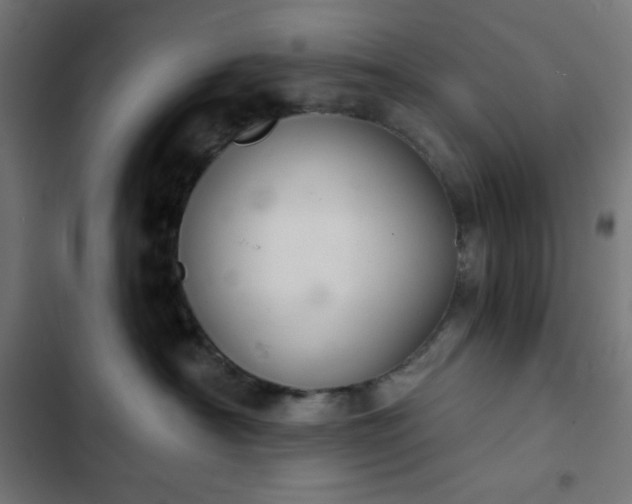 X0000103260430200809051448