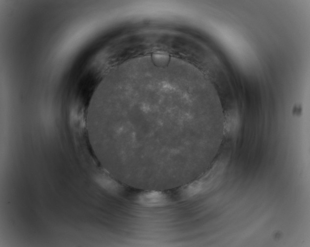 X0000103260431200809051448