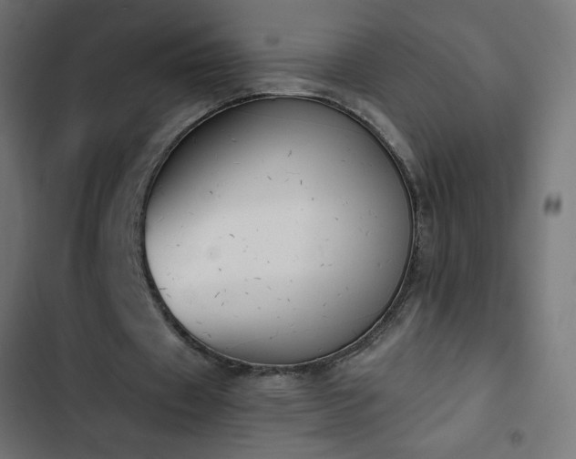 X0000103260433200809051447