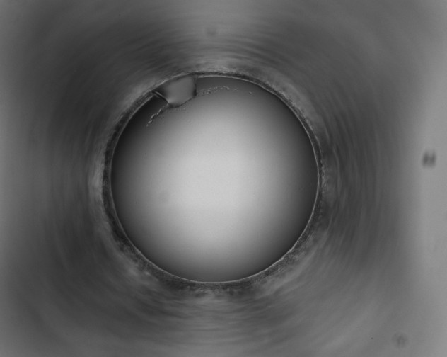 X0000103260434200809051447