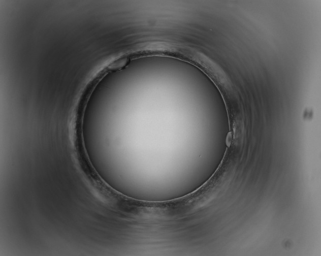 X0000103260436200809051447