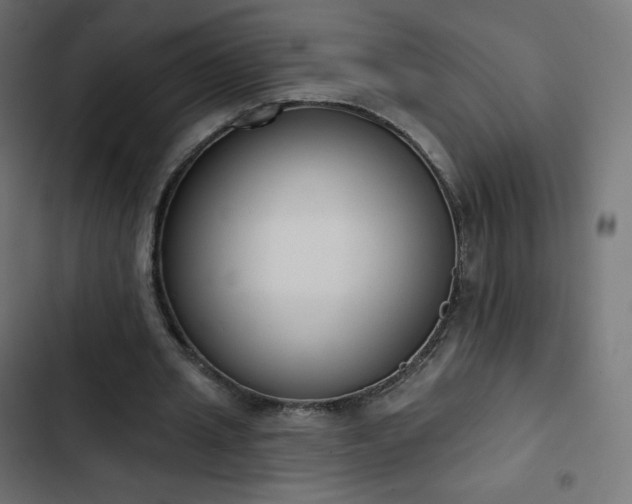 X0000103260437200809051447