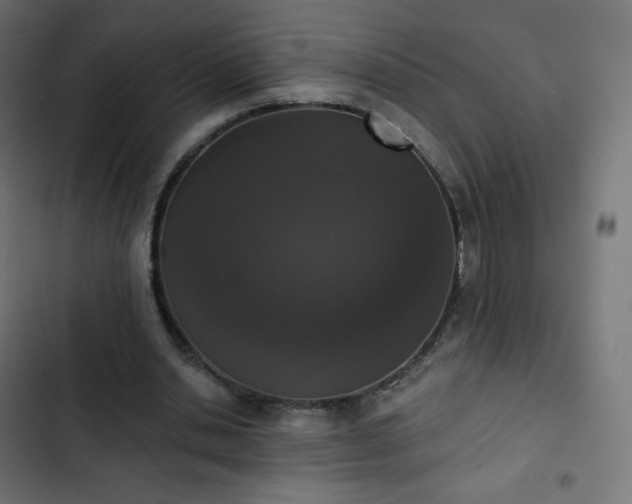 X0000103260438200809051447