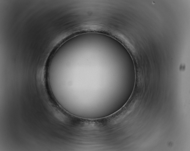 X0000103260439200809051447