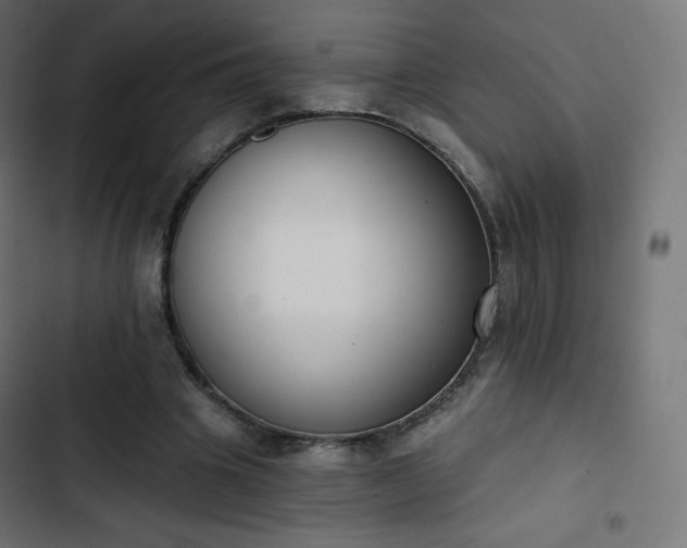 X0000103260441200809051447