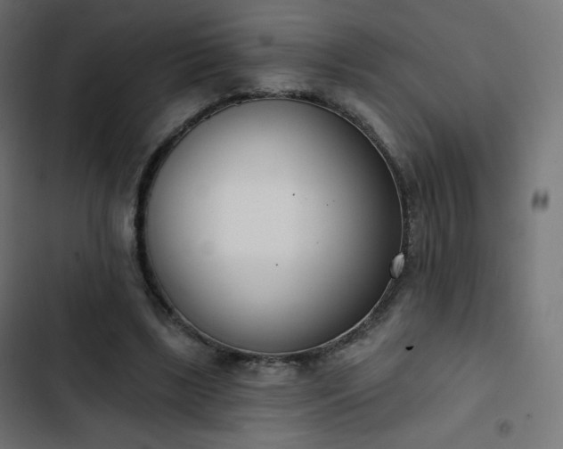 X0000103260443200809051447