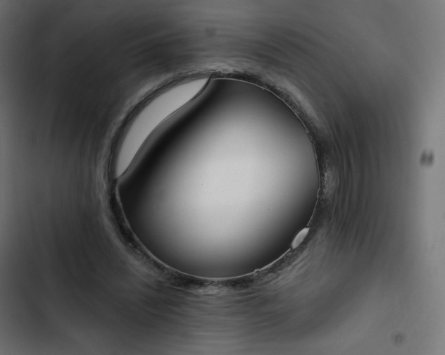 X0000103260444200809051447