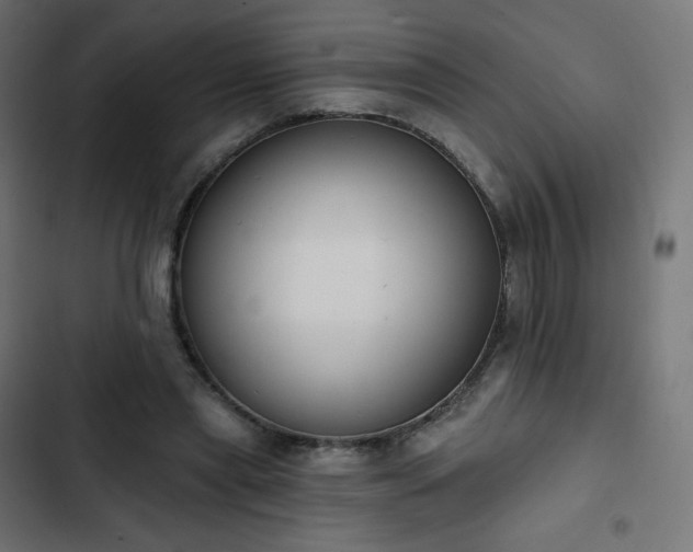 X0000103260445200809051447