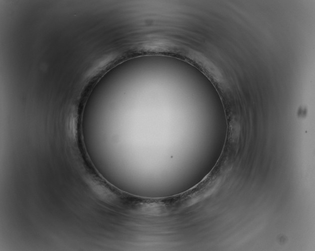 X0000103260446200809051447