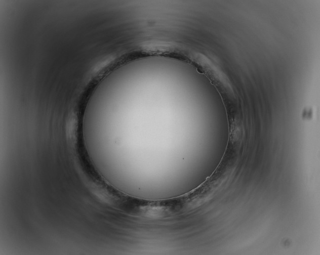 X0000103260448200809051447