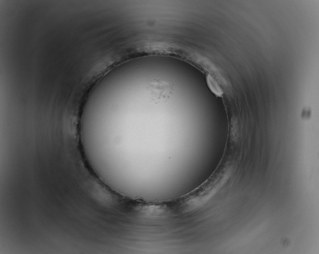 X0000103260449200809051447