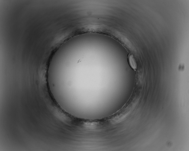 X0000103260450200809051447