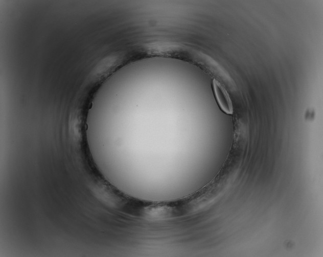 X0000103260452200809051447