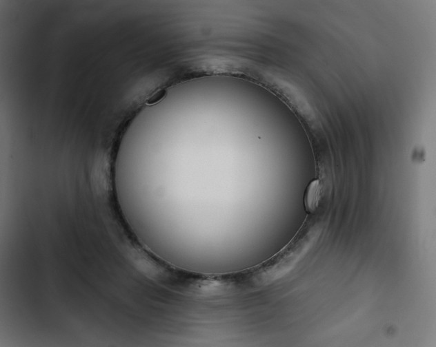 X0000103260453200809051448