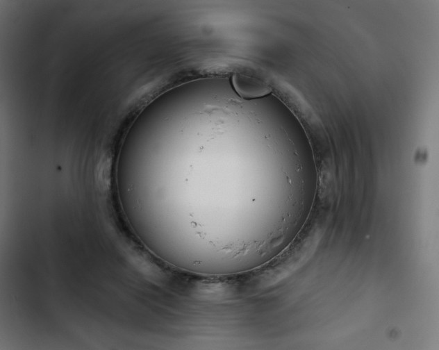 X0000103260454200809051448