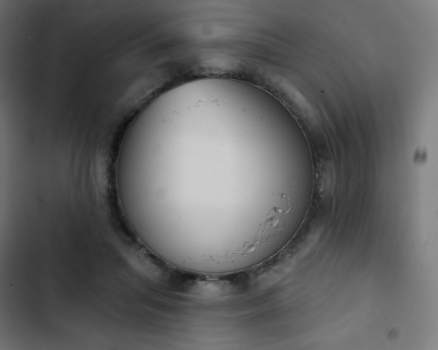 X0000103260455200809051448