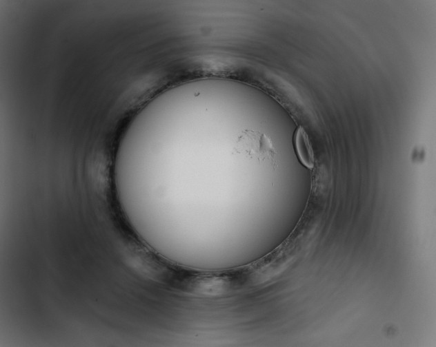 X0000103260456200809051448