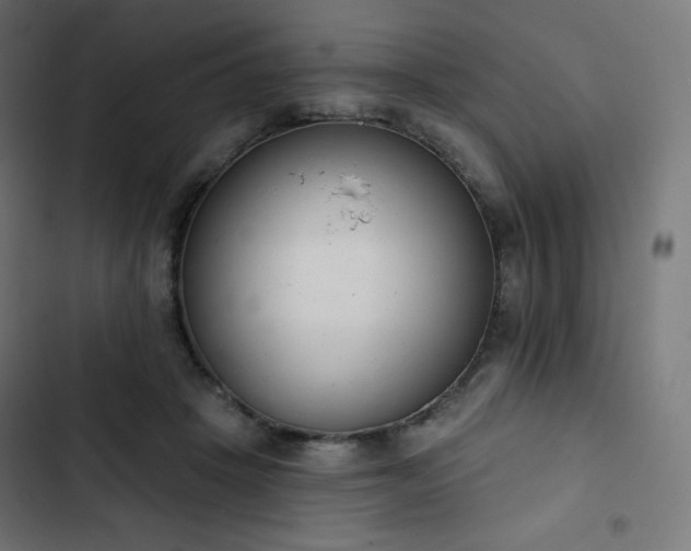 X0000103260457200809051448