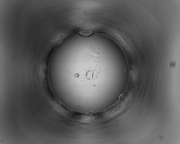 X0000103260458200809051448