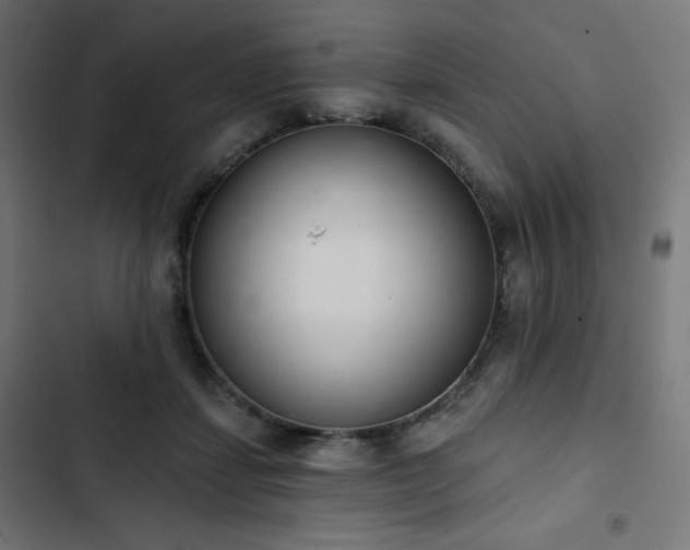 X0000103260459200809051448