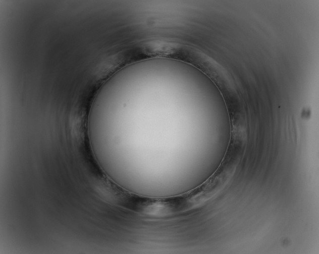 X0000103260460200809051448