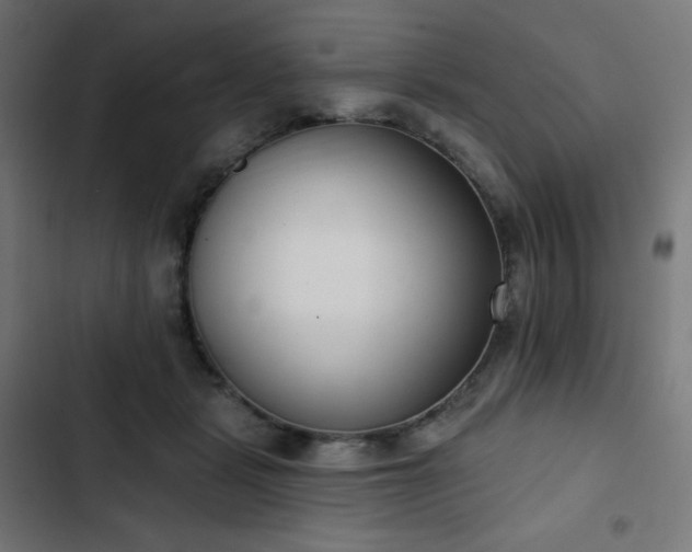 X0000103260461200809051448