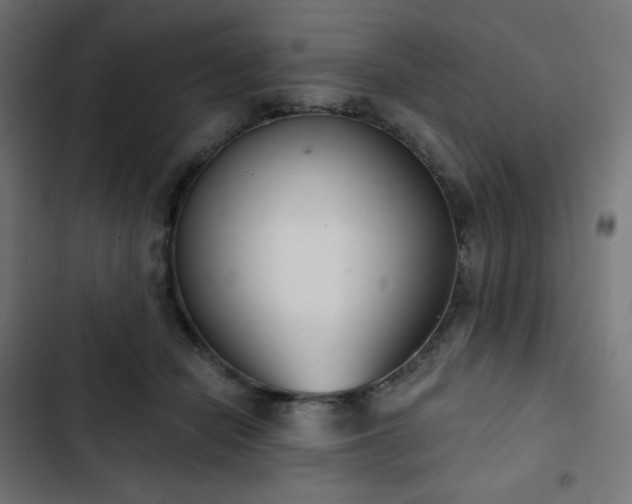 X0000103260462200809051448