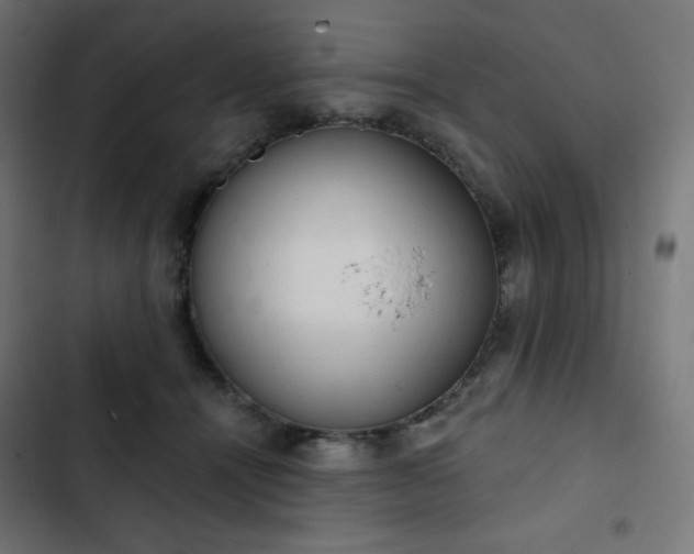 X0000103260464200809051448