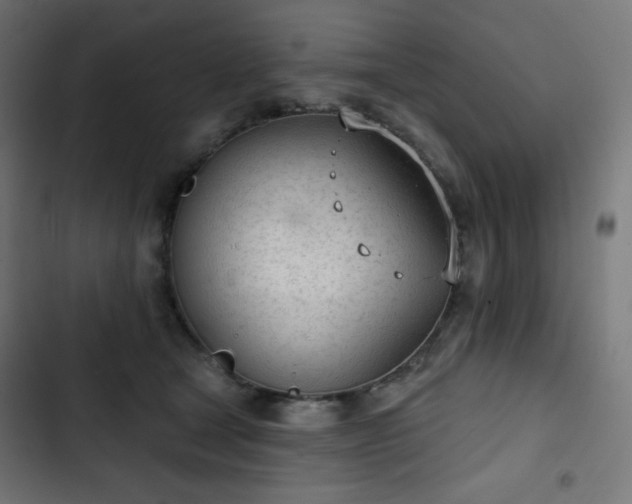 X0000103260465200809051448